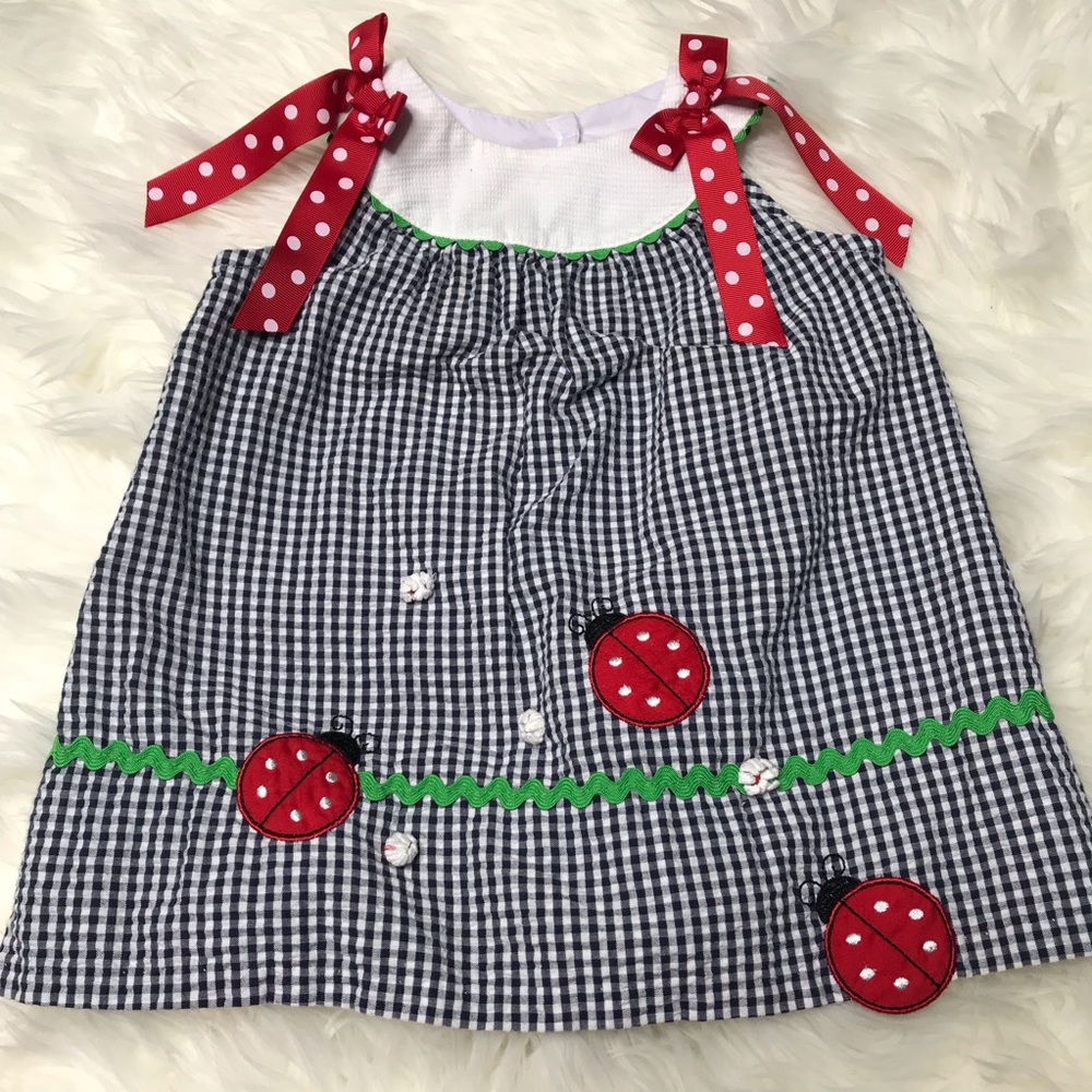 Rare Editions seersucker lady bug dress size 12 months